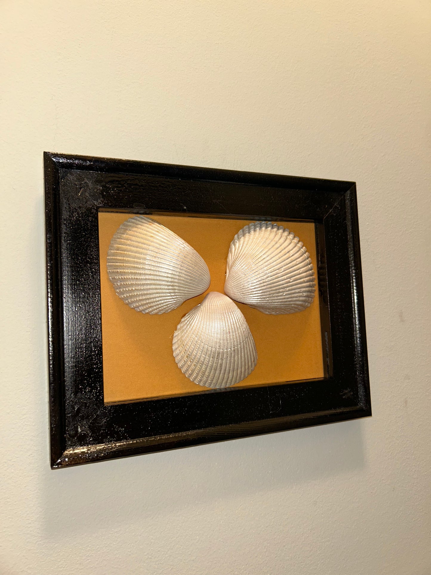 Tres leches