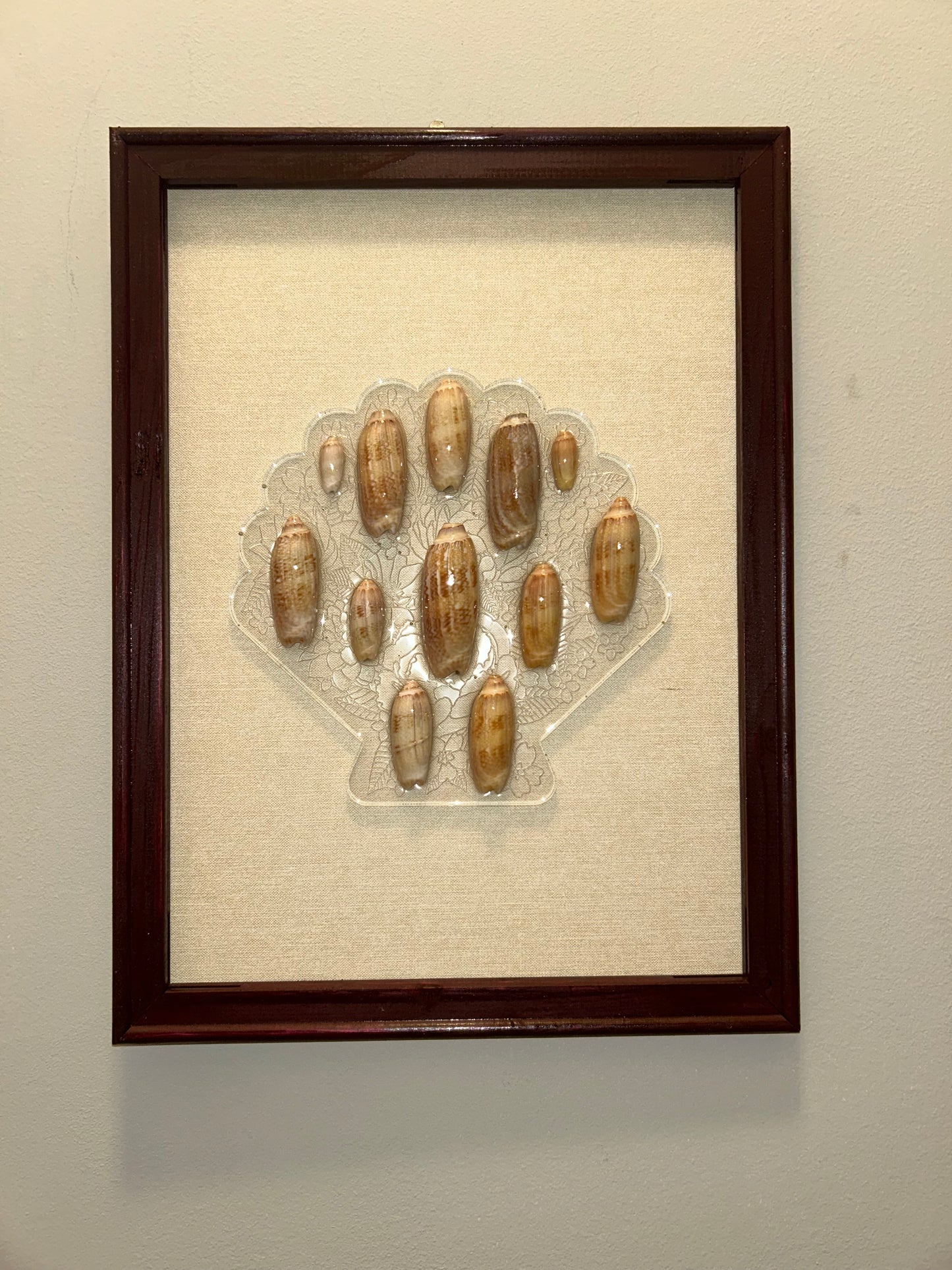 Olive series